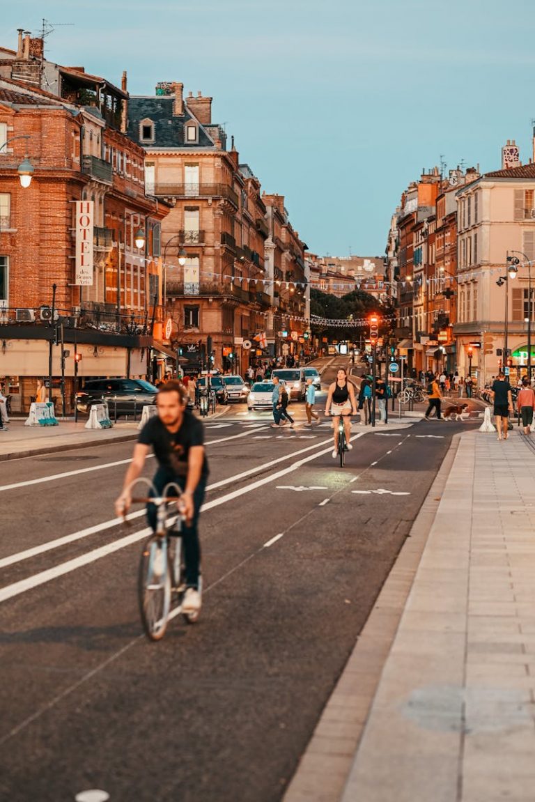 View of a Busy Street in Toulouse, France
