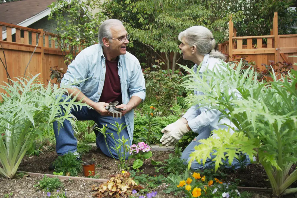 Couple de retraités jardinant ensemble