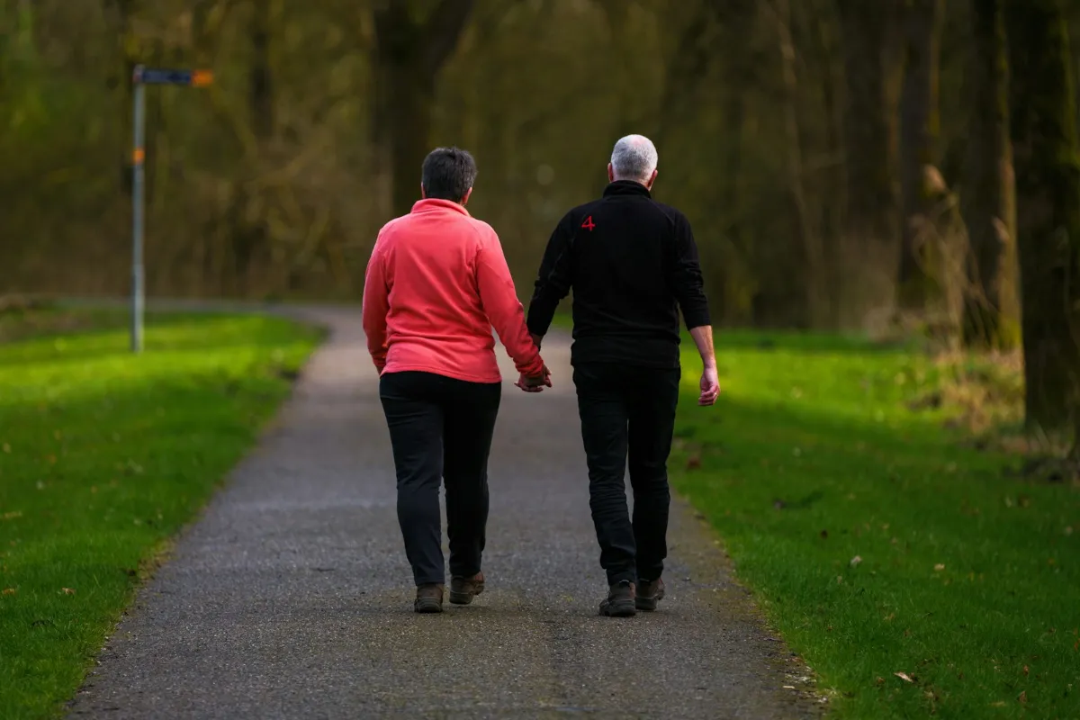 Couple âgé main dans la main dans une allée de parc, vu de dos